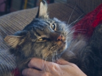 Lisa holding Hermes 1 P2170531